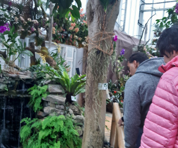 Aktuality / Botanická záhrada - foto