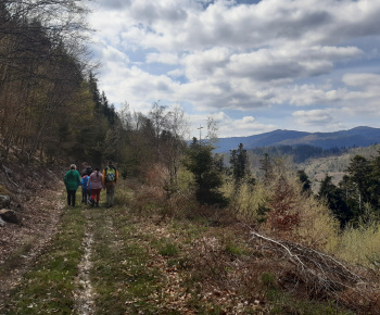 Aktuality / Turistická jarná vychádzka - foto