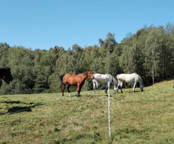 Aktuality / Rekreačný pobyt Predná Hora - foto