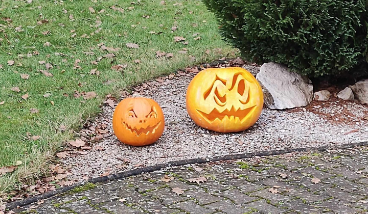 Zobraziť fotografiu