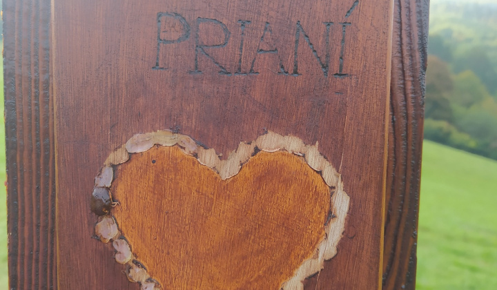Zobraziť fotografiu