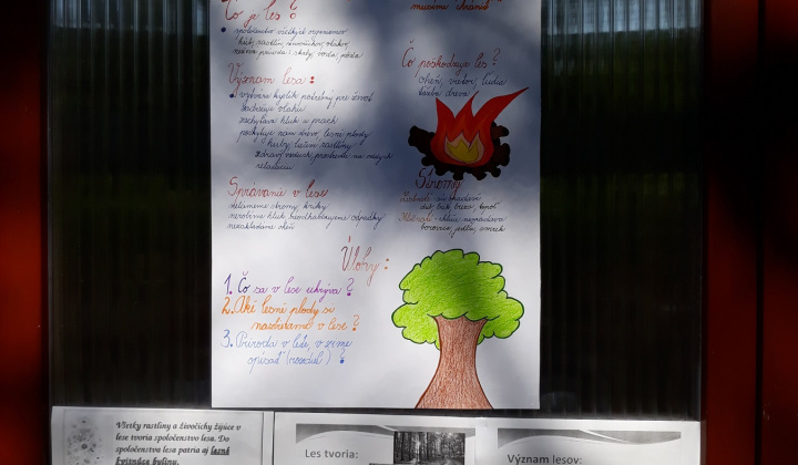 Zobraziť fotografiu