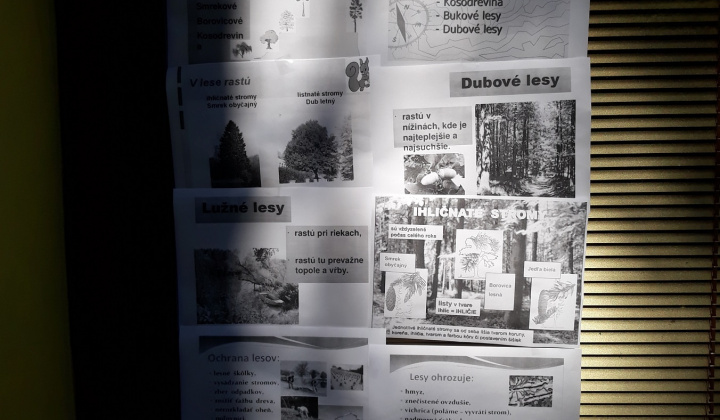 Zobraziť fotografiu