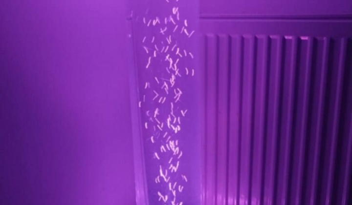 Zobraziť fotografiu